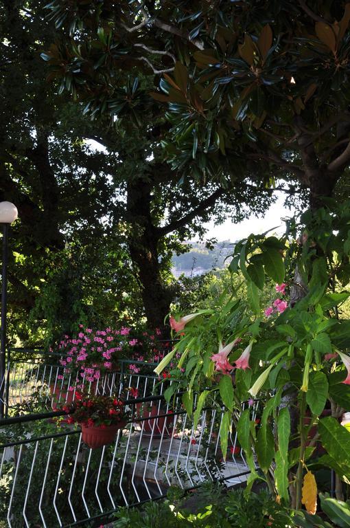Hotel Firenze Chianciano Terme Quarto foto