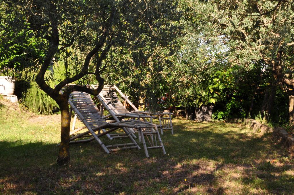 Hotel Firenze Chianciano Terme Exterior foto
